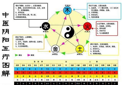 金生木 木生水|五行生克（哲学理论）